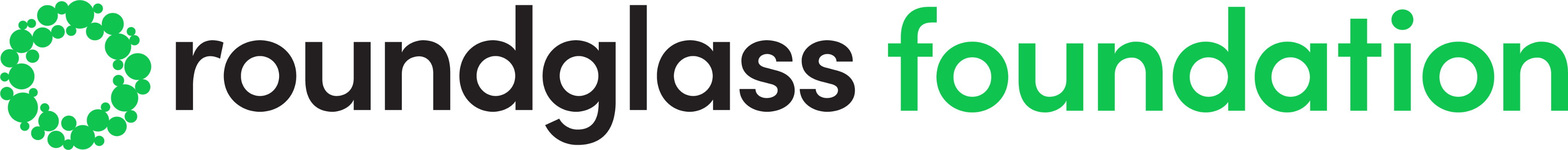 Roundglass Foundation Logo
