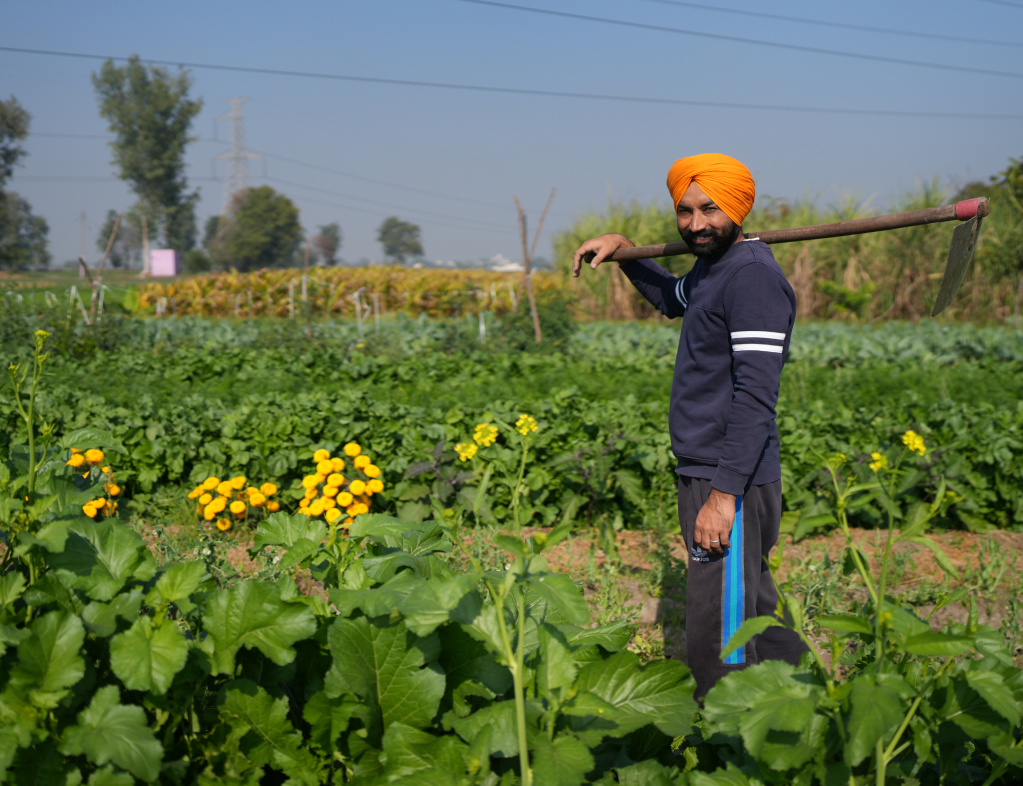 Farmer Tavpreet Singh proudly showing us his organic farm in Lang village.