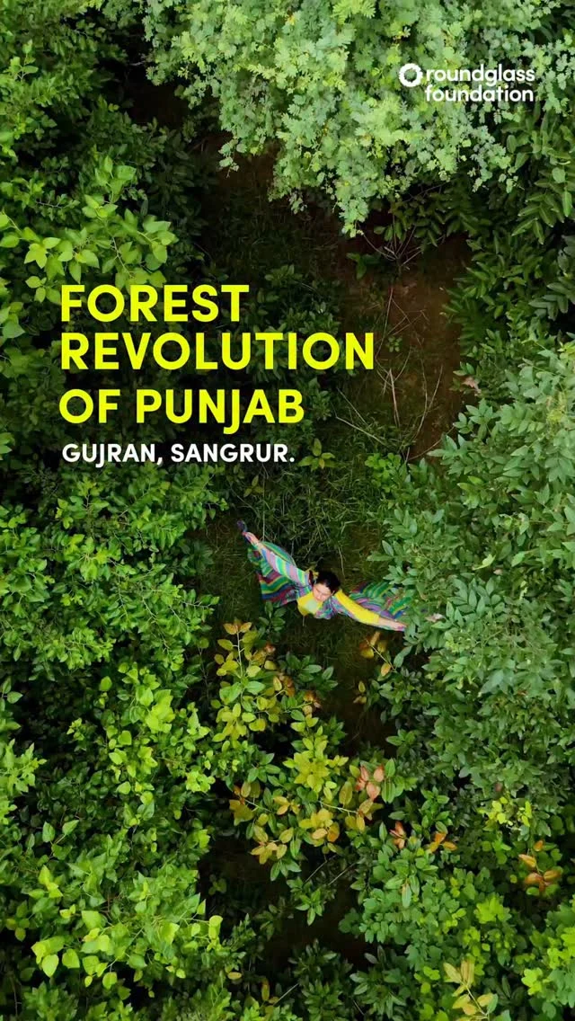 This mini forest was planted in village Gujran, district Sangrur, in June 2023. 8,000 saplings were planted here on Panchayati land. 
We don’t just plant the saplings, but we grow them as well. With the help of local communities, the saplings are looked after for two years. Thanks to their eager participation, what was once a barren land is now a lush green forest. 
If you want to plant a mini forest in your village, reach out to us.

ਦੋ ਸਾਲ ਪਹਿਲਾਂ, ਸੰਗਰੂਰ ਜ਼ਿਲ੍ਹਾ ਦੇ ਗੁੱਜਰਾਂ ਪਿੰਡ ਦੀ ਪੰਚਾਇਤੀ ਜ਼ਮੀਨ 'ਤੇ ਅਸੀਂ 8000 ਵਿਰਾਸਤੀ ਬੂਟੇ ਲਗਾਏ ਸਨ। ਅੱਜ, ਸਥਾਨਕ ਲੋਕਾਂ ਦੇ ਸਹਿਯੋਗ ਅਤੇ ਮਿਹਨਤ ਨਾਲ, ਉਹ ਬੰਜਰ ਜ਼ਮੀਨ ਇੱਕ ਹਰਿਆ-ਭਰਿਆ ਮਿੰਨੀ ਜੰਗਲ ਬਣ ਗਈ ਹੈ। 
ਸਾਡੇ ਵੱਲੋਂ ਬੂਟੇ ਸਿਰਫ਼ ਲਗਾਏ ਹੀ ਨਹੀਂ ਜਾਂਦੇ, ਉਨ੍ਹਾਂ ਦੀ ਦੇਖਭਾਲ ਵੀ ਕੀਤੀ ਜਾਂਦੀ ਹੈ।
ਜੇਕਰ ਤੁਸੀਂ ਵੀ ਆਪਣੇ ਪਿੰਡ ਵਿੱਚ ਇੱਕ ਮਿੰਨੀ ਜੰਗਲ ਬਣਾਉਣਾ ਚਾਹੁੰਦੇ ਹੋ, ਤਾਂ ਸਾਡੇ ਨਾਲ ਜੁੜੋ।

#forestrevolution #roundglassfoundation #punjab