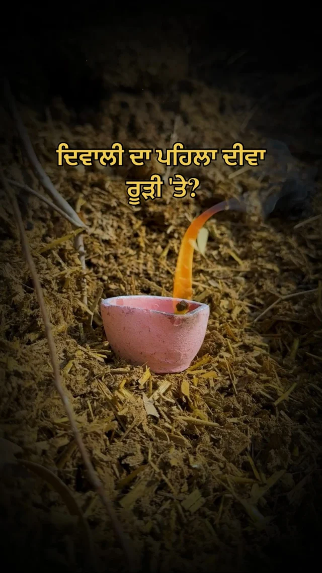 ਰੂੜੀ ਉੱਤੇ ਦਿਵਾਲੀ ਦਾ ਪਹਿਲਾ ਦੀਵਾ🪔 
ਸਿਹਤ ਤੇ ਸੁੱਖ-ਸ਼ਾਂਤੀ ਦੀ ਰਿਵਾਇਤ✨

#Diwali #RoundglassFoundation #Punjab