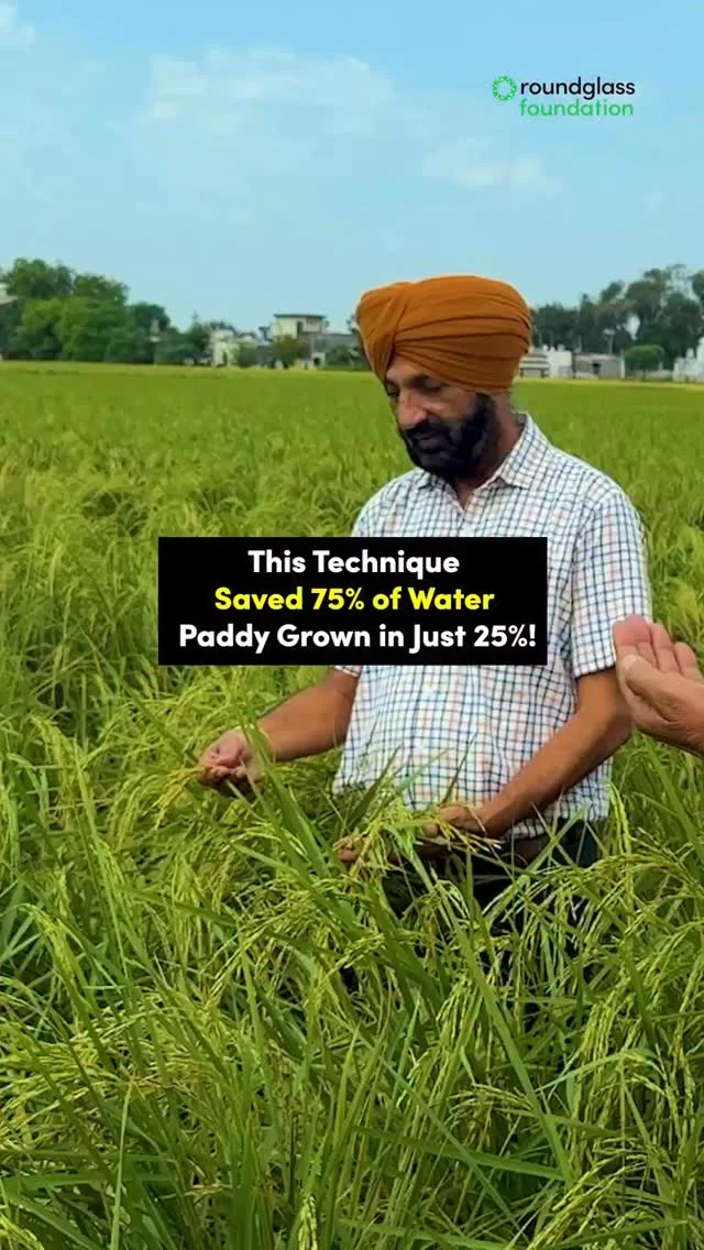Paddy cultivation has sustained our farmers and fed our national for many years now. To make paddy farming more sustainable, we are introducing new techniques for our farmers, and our land. When paddy is sown on raised beds, it requires much less water. This technique that saves 75% water is crucial in Punjab where groundwater levels are falling every year. 
Share this with you family and friends who are farmers. For more information, watch the longer video on our YouTube channel.

ਪੰਜਾਬ ਦੀ ਧਰਤੀ ਸਾਨੂੰ ਸਦੀਆਂ ਤੋਂ ਅਨਾਜ ਦੇ ਰਹੀ ਹੈ।
ਪਰ ਹੁਣ ਪਾਣੀ ਦੀ ਕਮੀ ਸਾਡੇ ਲਈ ਸਭ ਤੋਂ ਵੱਡੀ ਚੁਣੌਤੀ ਬਣ ਗਈ ਹੈ। 
ਇਸੇ ਲਈ ਅਸੀਂ ਨਵੀਂ ਤਕਨੀਕ ਐਸ.ਆਰ.ਬੀ. ਲੈ ਕੇ ਆਏ ਹਾਂ। 
ਇਸ ਨਾਲ ਪਾਣੀ ਦੀ ਵਰਤੋਂ 75% ਤੱਕ ਘੱਟ ਹੋ ਜਾਂਦੀ ਹੈ, ਅਤੇ ਫਸਲ ਦੀ ਉਪਜ ਵੀ ਸਿਹਤਮੰਦ ਰਹਿੰਦੀ ਹੈ। 
ਆਓ ਇਸ ਬਦਲਾਅ ਦਾ ਹਿੱਸਾ ਬਣੀਏ। 
ਆਪਣੇ ਕਿਸਾਨ ਭਰਾਵਾਂ ਨਾਲ ਇਹ ਜਾਣਕਾਰੀ ਸਾਂਝੀ ਕਰੋ
ਤੇ ਹੋਰ ਜਾਣਕਾਰੀ ਲਈ ਸਾਡੀ ਯੂਟਿਊਬ ਵੀਡੀਓ ਜ਼ਰੂਰ ਵੇਖੋ। 

#SRB #Paddy #roundglassfoundation #punjab