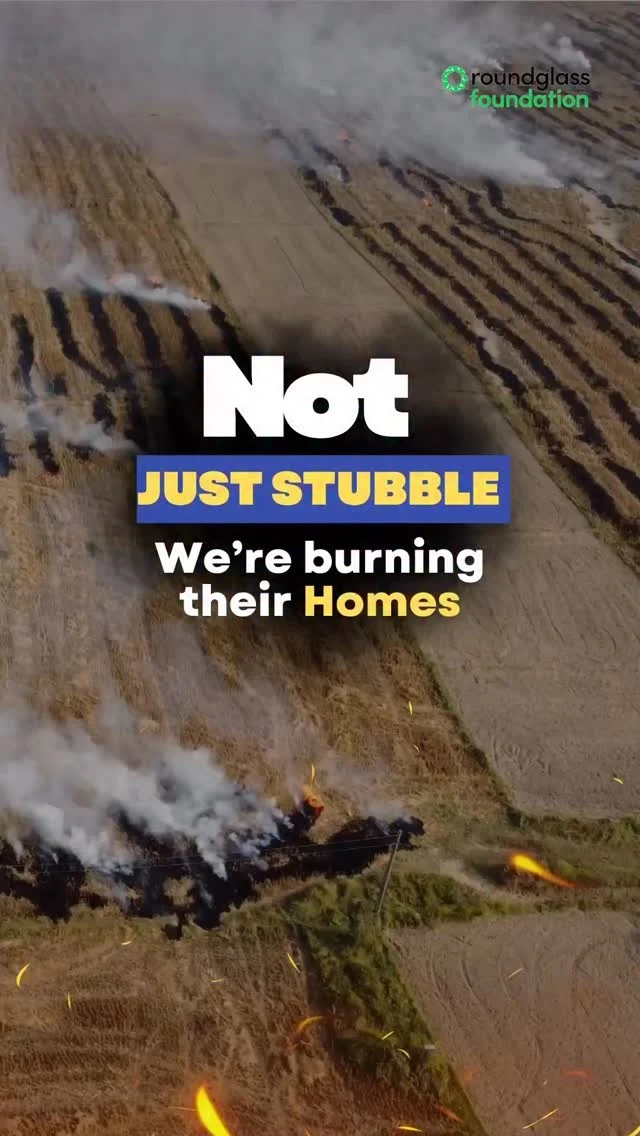 Stubble burning not just adds to the air pollution. K.S.Pannu ji rightly says that soil is home to many organisms. By burning stubble, we are destroying their homes, and what right do we have to do so. A sustainable alternative is to mix the crop residue in the soil. This will improve the soil health, and cause no damage to the environment. 
Share this with your family and friends who are into farming.

ਪਰਾਲੀ ਸਾੜਨਾ ਸਾਡੇ ਲਈ ਇਕ ਛੋਟੀ ਸਹੂਲਤ ਜ਼ਰੂਰ ਹੈ, ਪਰ ਇਸਦਾ ਨੁਕਸਾਨ ਬੇਹੱਦ ਵੱਡਾ ਹੈ। ਜਦੋਂ ਅਸੀਂ ਪਰਾਲੀ ਨੂੰ ਅੱਗ ਲਗਾਉਂਦੇ ਹਾਂ, ਤਾਂ ਸਿਰਫ ਧੂੰਆਂ ਹੀ ਨਹੀਂ ਬਣਦਾ — ਸਾਡੀ ਮਿੱਟੀ ਦੀ ਸਿਹਤ ਵੀ ਖਰਾਬ ਹੋ ਜਾਂਦੀ ਹੈ। ਮਿੱਟੀ ਦੇ ਵਿੱਚ ਰਹਿਣ ਵਾਲੇ ਲੱਖਾਂ ਜੀਵ, ਜੋ ਇਸਨੂੰ ਉਪਜਾਊ ਬਣਾਉਂਦੇ ਹਨ, ਉਹ ਸੜ ਕੇ ਖਤਮ ਹੋ ਜਾਂਦੇ ਹਨ। ਇਹ ਧਰਤੀ ਸਾਡੀ ਮਲਕੀਅਤ ਨਹੀਂ, ਸਗੋਂ ਕੁਦਰਤ ਦਾ ਵਸੀਲਾ ਹੈ, ਜਿਸ ‘ਤੇ ਹਰ ਜੀਵ ਦਾ ਹੱਕ ਹੈ। ਅਸੀਂ ਆਪਣੇ ਥੋੜ੍ਹੇ ਜਿਹੇ ਫਾਇਦੇ ਲਈ ਉਸ ਕੁਦਰਤ ਨੂੰ ਨੁਕਸਾਨ ਨਹੀਂ ਪਹੁੰਚਾ ਸਕਦੇ, ਜੋ ਸਾਨੂੰ ਜਿਉਣ ਲਈ ਸਭ ਕੁਝ ਦਿੰਦੀ ਹੈ।

#stubbleburning #regenagriculture 
#roundglassfoundation #punjab