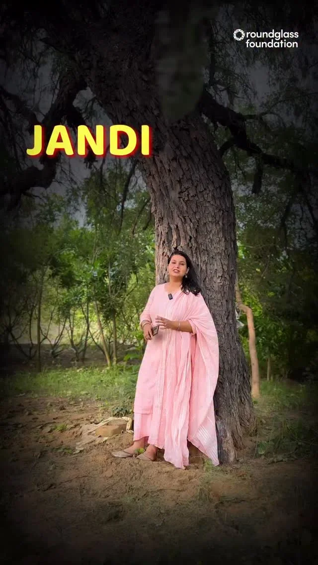 Jandi trees are native to Punjab. Earlier they could be found in huge numbers, but now they are difficult to spot. Native trees are important because they are the most suited and easy to grow in the local conditions like weather, soil, water, etc. Nature has its own way of sustaining us. We are somehow losing the balance. 

If all of us plant native trees around us, we will help nature thrive, and we will thrive as well. 

ਜੰਡੀ ਦਾ ਰੁੱਖ ਪੰਜਾਬ ਦਾ ਅਜਿਹਾ ਵਿਰਾਸਤੀ ਰੁੱਖ ਹੈ ਜੋ ਪਹਿਲਾਂ ਹਰ ਚੌਰਾਹੇ 'ਤੇ ਖੜ੍ਹਾ ਮਿਲ ਜਾਂਦਾ ਸੀ ਪਰ ਹੁਣ ਇਹ ਦਿਨੋ-ਦਿਨ ਅਲੋਪ ਹੁੰਦਾ ਜਾ ਰਿਹਾ ਹੈ। ਸਾਨੂੰ ਫਲ ਅਤੇ ਲੱਕੜ ਦੇਣ ਤੋਂ ਇਲਾਵਾ, ਇਹ ਮਿੱਟੀ ਨੂੰ ਵੀ ਮਜ਼ਬੂਤ ​​ਬਣਾਉਂਦਾ ਹੈ।

ਅਸੀਂ ਹੁਣ ਤੱਕ ਪੰਜਾਬ ਭਰ ਵਿੱਚ ਲਗਭਗ 40 ਲੱਖ ਰੁੱਖ ਲਗਾ ਚੁੱਕੇ ਹਾਂ, ਪਰ ਹੁਣ ਸਾਨੂੰ ਤੁਹਾਡੇ ਸਾਥ ਦੀ ਲੋੜ ਹੈ। 

ਹਰ ਇੱਕ ਰੁੱਖ ਸਾਡੀ ਵਿਰਾਸਤ ਨੂੰ ਮੁੜ ਸੁਰਜੀਤ ਕਰਨ ਅਤੇ ਸਾਡੇ ਭਵਿੱਖ ਦੀ ਰੱਖਿਆ ਵੱਲ ਇੱਕ ਕਦਮ ਹੈ।

#jandi #nativetree #roundglassfoundation #punjab