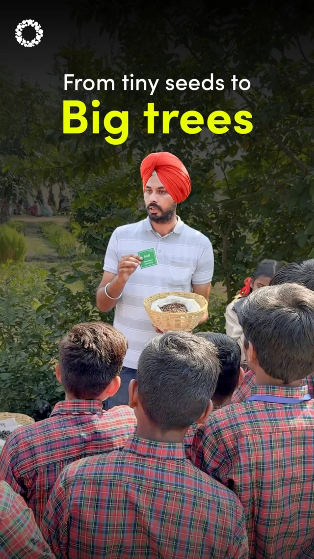 Schoolchildren visited our nursery in Lang village. It was heartening to see their interest in plants and seeds. We encouraged them to feel the soil and touch the seeds.  
 
The Billion Tree Project is on a mission to increase the forest cover in Punjab. Currently, Punjab's green cover stands at a meagre 3.67% of its total land which is 18% lesser than the national green cover average of 21.71%. Our native trees are also disappearing fast. We have been creating a bank of seeds of these native trees and planting them all over the state. By introducing the younger generation to our work, we are hoping to carry forward this green initiative for generations to come.

ਬੀਤੇ ਦਿਨੀ ਸਾਡੀ ਲੰਗ ਪਿੰਡ ਦੀ ਨਰਸਰੀ ਵਿੱਚ ਸਕੂਲ ਦੇ ਬੱਚੇ ਆਏ ਸਨ। ਬੀਜਾਂ ਅਤੇ ਬੂਟਿਆਂ ਨਾਲ ਉਨ੍ਹਾਂ ਦਾ ਲਗਾਅ ਵੇਖ ਕੇ ਦਿਲ ਖੁਸ਼ ਹੋ ਗਿਆ। ਅਸੀਂ ਉਨ੍ਹਾਂ ਨੂੰ ਮਿੱਟੀ ਹੱਥ ਨਾਲ ਛੁਹਾਈ, ਦੇਸੀ ਬੀਜ ਦਿਖਾਏ ਅਤੇ ਦੱਸਿਆ ਕਿ ਕਿਵੇਂ ਸਾਡੇ ਵਿਰਾਸਤੀ ਰੁੱਖ ਤੇਜ਼ੀ ਨਾਲ ਅਲੋਪ ਹੋ ਰਹੇ ਹਨ। ਪੰਜਾਬ ਦੀ ਹਰਿਆਲੀ ਹੁਣ ਬਹੁਤ ਹੀ ਘੱਟ ਰਹਿ ਗਈ ਹੈ, ਇਸ ਲਈ ਦ ਬਿਲੀਅਨ ਟ੍ਰੀ ਪ੍ਰੋਜੈਕਟ ਰਾਹੀਂ ਅਸੀਂ ਆਪਣੇ ਵਿਰਾਸਤੀ ਰੁੱਖਾਂ ਦੇ ਬੀਜ ਇਕੱਠੇ ਕਰਕੇ ਉਨ੍ਹਾਂ ਦੀ ਪਨੀਰੀ ਤਿਆਰ ਕਰ ਰਹੇ ਹਾਂ।

ਅਸੀਂ ਚਾਹੁੰਦੇ ਹਾਂ ਕਿ ਇਹ ਬੱਚੇ ਇਥੋਂ ਜੋ ਸਿੱਖ ਕੇ ਗਏ ਹਨ, ਉਹ ਕੱਲ੍ਹ ਸਾਡੀ ਇਸ ਮੁਹਿੰਮ ਨੂੰ ਹੋਰ ਵੀ ਅੱਗੇ ਤੱਕ ਲੈ ਕੇ ਜਾਣ।

#TBTP #roundglassfoundation #punjab